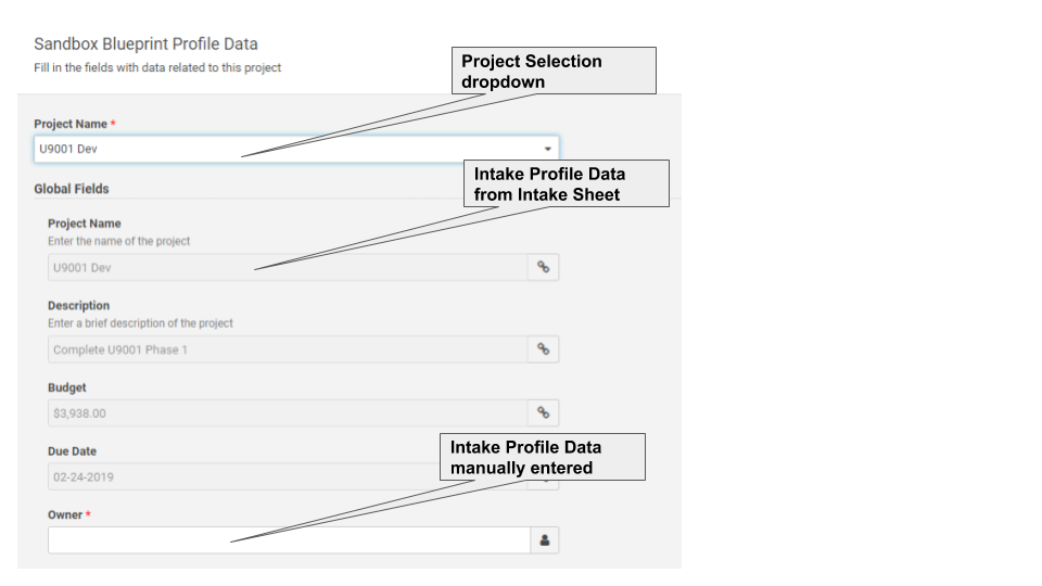 A new project pulling profile data from an Intake Sheet.