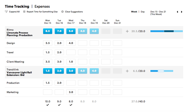 Itemized hours with category rows below each project.