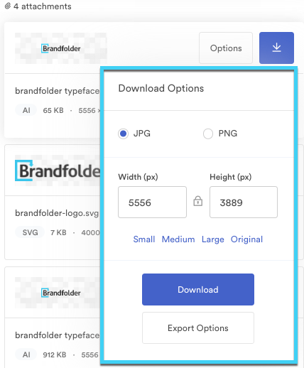 This image shows the download options available to you in the asset modal.